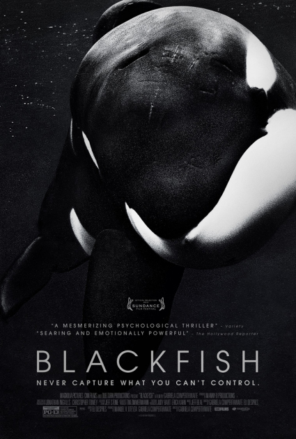 FEAT-TOP-TEN-FILMS-2013-Blackfish