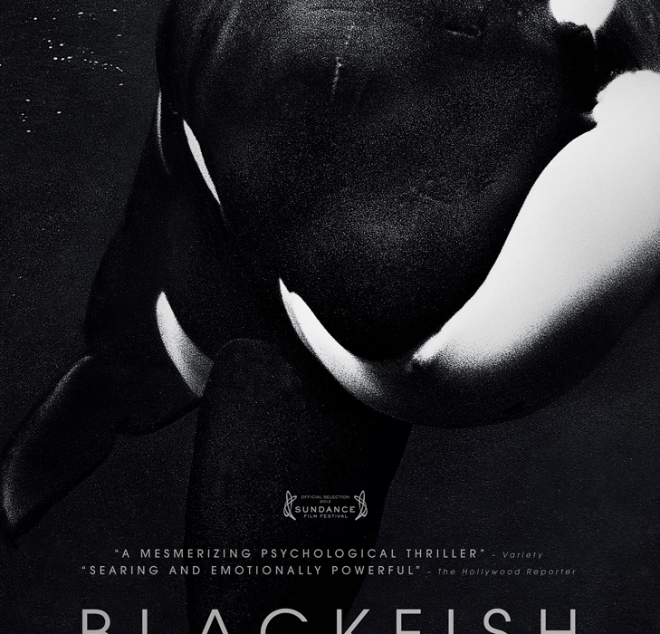 FEAT-TOP-TEN-FILMS-2013-Blackfish