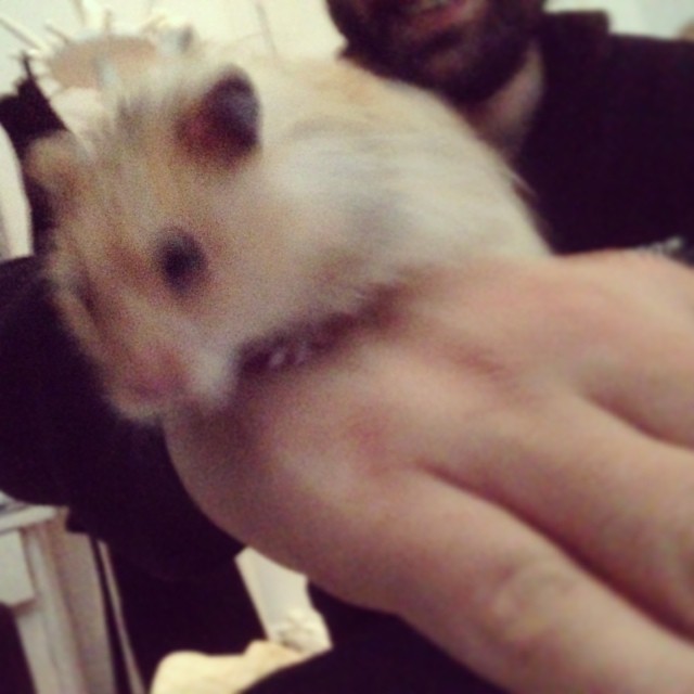 Gölli!